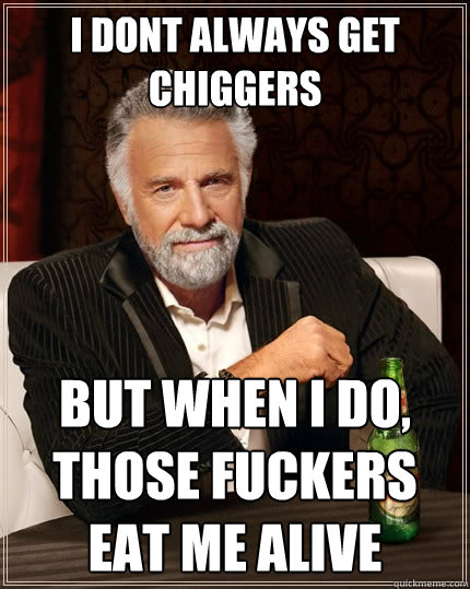 I dont always get chiggers  But when I do, those fuckers eat me alive  The Most Interesting Man In The World
