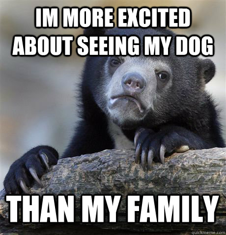IM MORE EXCITED ABOUT SEEING MY DOG THAN MY FAMILY  Confession Bear
