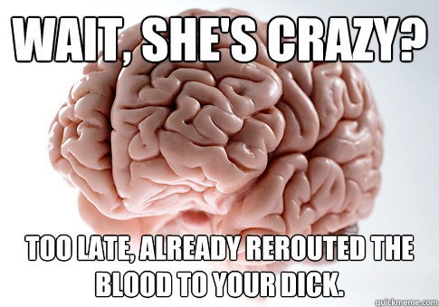 Wait, she's crazy? Too late, already rerouted the blood to your dick. - Wait, she's crazy? Too late, already rerouted the blood to your dick.  Scumbag Brain