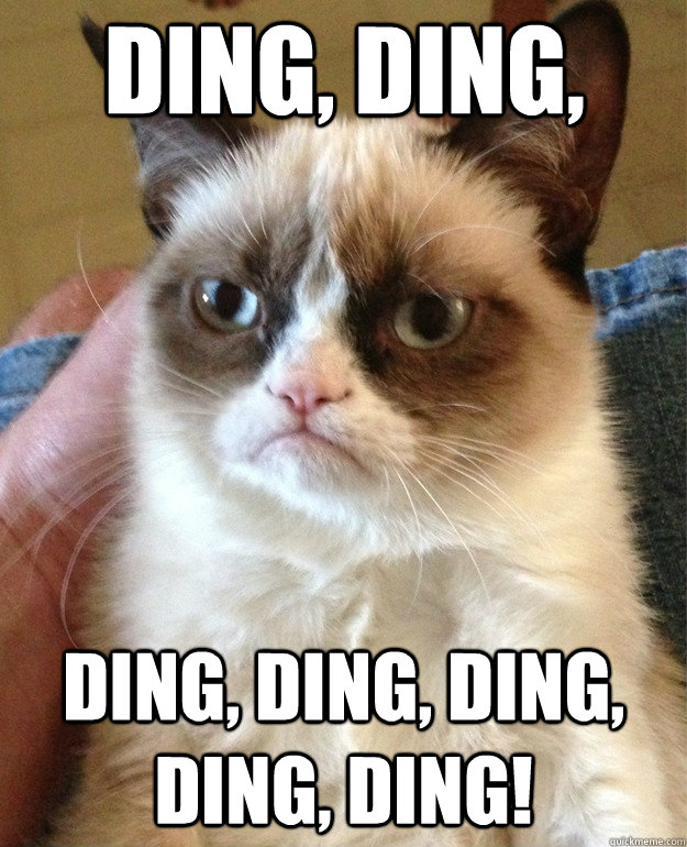 Ding, ding, Ding, ding, ding, ding, ding!  Grumpy Cat