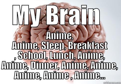 MY BRAIN  ANIME, ANIME, SLEEP, BREAKFAST , SCHOOL, LUNCH, ANIME, ANIME, DINNER, ANIME, ANIME, ANIME, ANIME , ANIME... Scumbag Brain