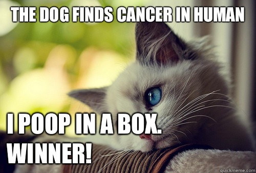 The Dog finds cancer in human I poop in a box. Winner!  First World Problems Cat
