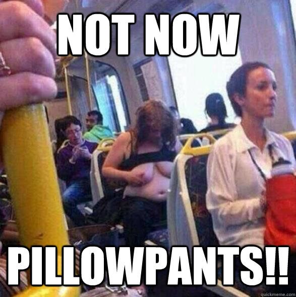 NOT NOW PILLOWPANTS!!  NAKED TRAIN GIRL