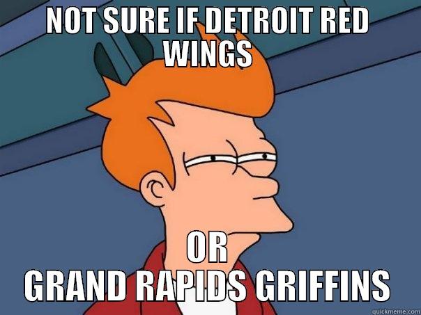 NOT SURE IF DETROIT RED WINGS OR GRAND RAPIDS GRIFFINS Futurama Fry