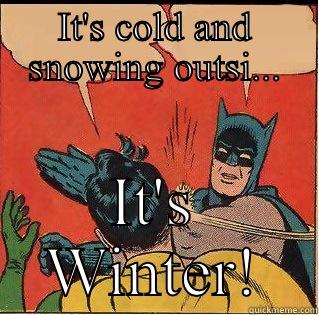 IT'S COLD AND SNOWING OUTSI... IT'S WINTER! Slappin Batman