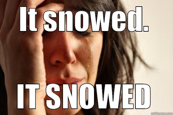 IT SNOWED. IT SNOWED First World Problems