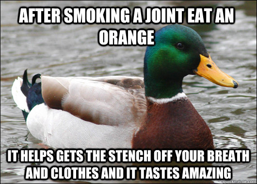 After smoking a joint eat an orange it helps gets the stench off your breath and clothes and it tastes amazing  Actual Advice Mallard