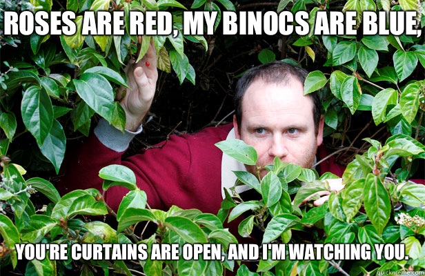 Roses are red, My binocs are blue, You're curtains are open, and I'm watching you.  Creepy Stalker Guy
