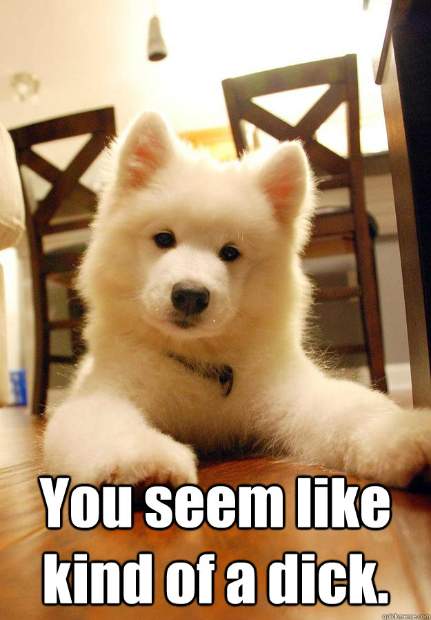  You seem like kind of a dick. -  You seem like kind of a dick.  Succinct Samoyed