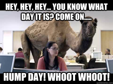 Hey, hey, hey... you know what day it is? Come on..... Hump day! Whoot Whoot!  