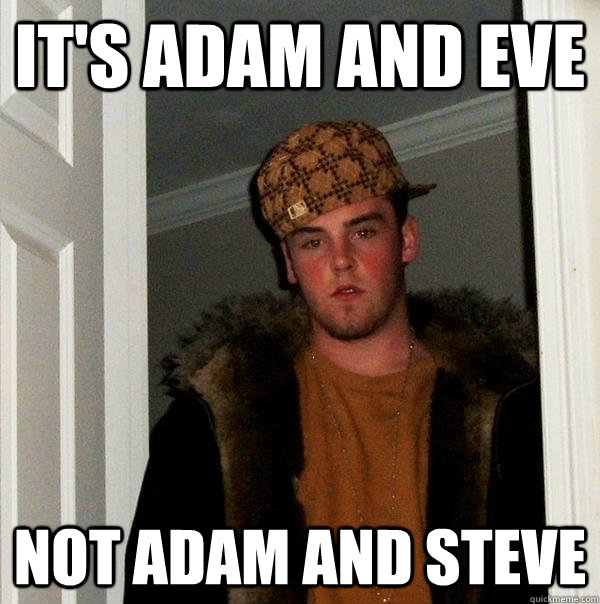 it's adam and eve not adam and steve - it's adam and eve not adam and steve  Scumbag Steve