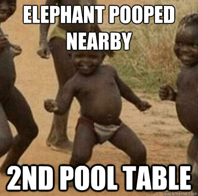 Elephant pooped nearby 2nd pool table  Third World Success Kid