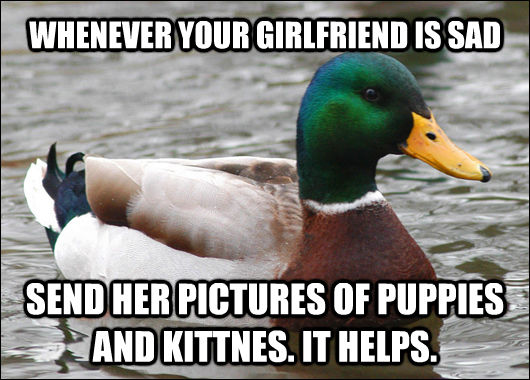 WHENEVER YOUR GIRLFRIEND IS SAD SEND HER PICTURES OF PUPPIES AND KITTNES. IT HELPS. - WHENEVER YOUR GIRLFRIEND IS SAD SEND HER PICTURES OF PUPPIES AND KITTNES. IT HELPS.  Actual Advice Mallard