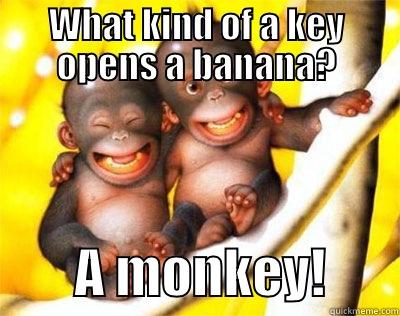 WHAT KIND OF A KEY OPENS A BANANA?         A MONKEY!       Misc