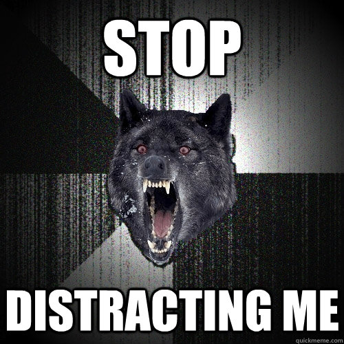 STOP  DISTRACTING ME  Insanity Wolf