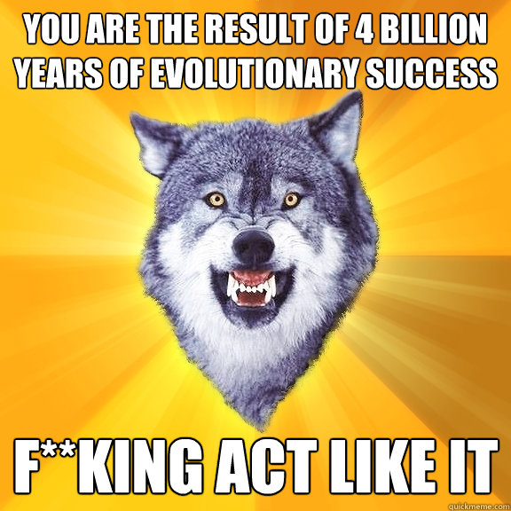 you are the result of 4 billion years of evolutionary success f**king act like it  Courage Wolf