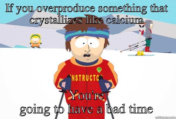 IF YOU OVERPRODUCE SOMETHING THAT CRYSTALLIZES LIKE CALCIUM YOU'RE GOING TO HAVE A BAD TIME Super Cool Ski Instructor