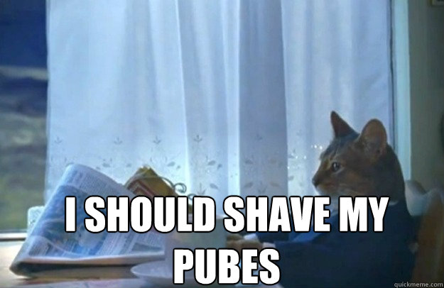 I should shave my pubes  Sophisticated Cat
