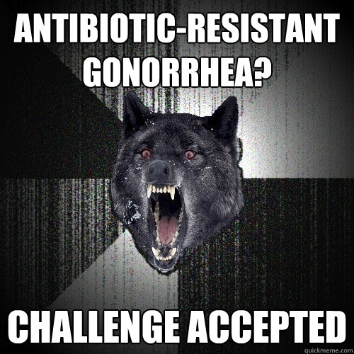 Antibiotic-Resistant Gonorrhea? Challenge Accepted  Insanity Wolf