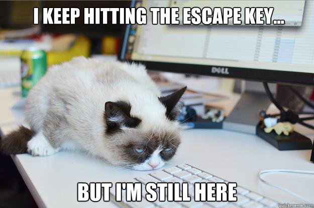  i KEEP HITTING THE ESCAPE KEY... BUT I'M STILL HERE   