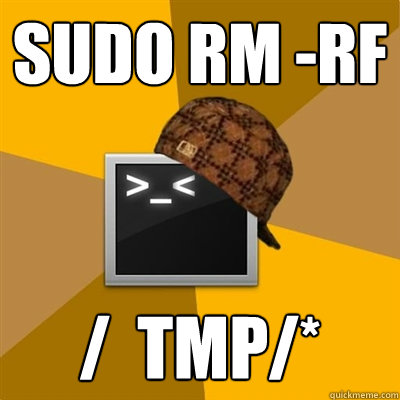 SUDO RM -RF /  TMP/*  