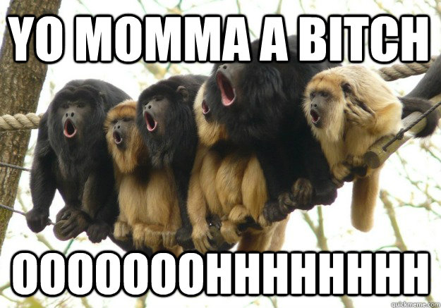Yo Momma a bitch OOOOOOOhhhhhhhh - Yo Momma a bitch OOOOOOOhhhhhhhh  Shock and Awe Monkeys