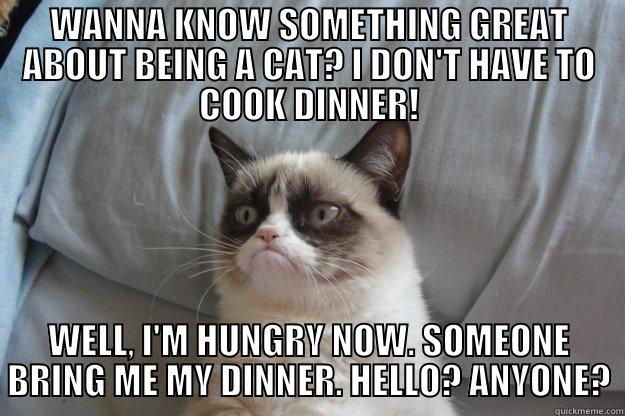 WANNA KNOW SOMETHING GREAT ABOUT BEING A CAT? I DON'T HAVE TO COOK DINNER! WELL, I'M HUNGRY NOW. SOMEONE BRING ME MY DINNER. HELLO? ANYONE? Grumpy Cat