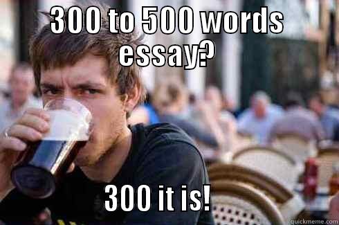 300 TO 500 WORDS ESSAY?                  300 IT IS!                      Lazy College Senior