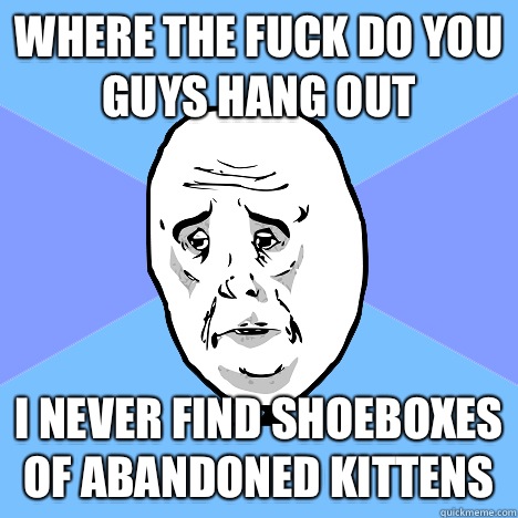 Where the fuck do you guys hang out I never find shoeboxes of abandoned kittens  Okay Guy