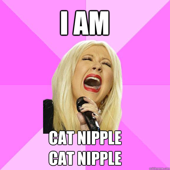 cat nipple pillow