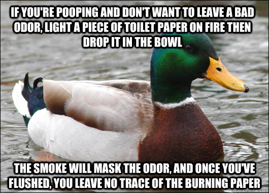 if you're pooping and don't want to leave a bad odor, light a piece of toilet paper on fire then drop it in the bowl the smoke will mask the odor, and once you've flushed, you leave no trace of the burning paper  Actual Advice Mallard