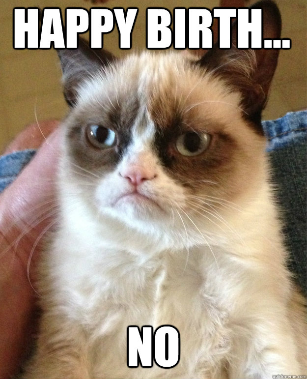 Happy Birth... NO - Happy Birth... NO  grumpy cat birthday