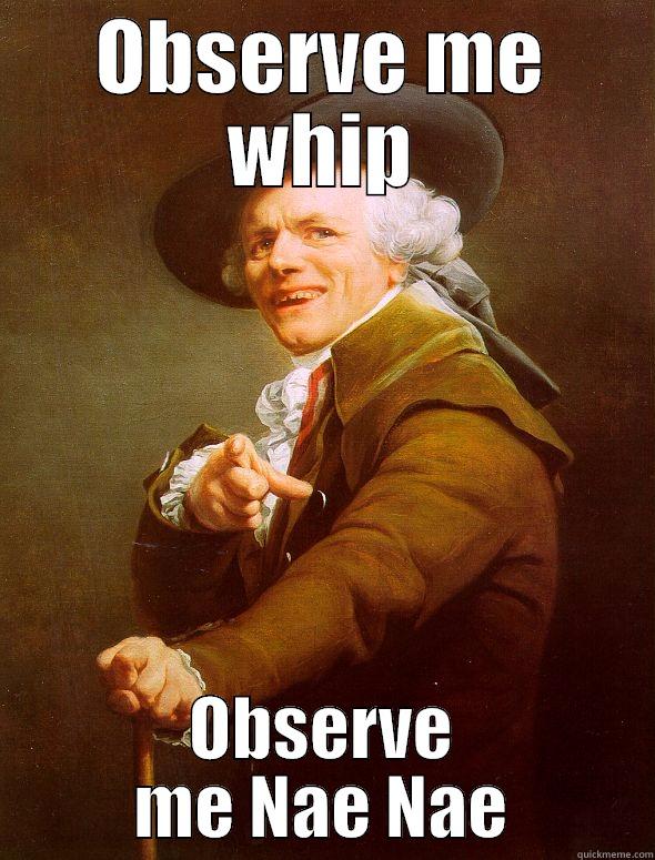 Whip NaeNae - OBSERVE ME WHIP OBSERVE ME NAE NAE Joseph Ducreux