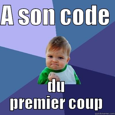 A SON CODE  DU PREMIER COUP Success Kid