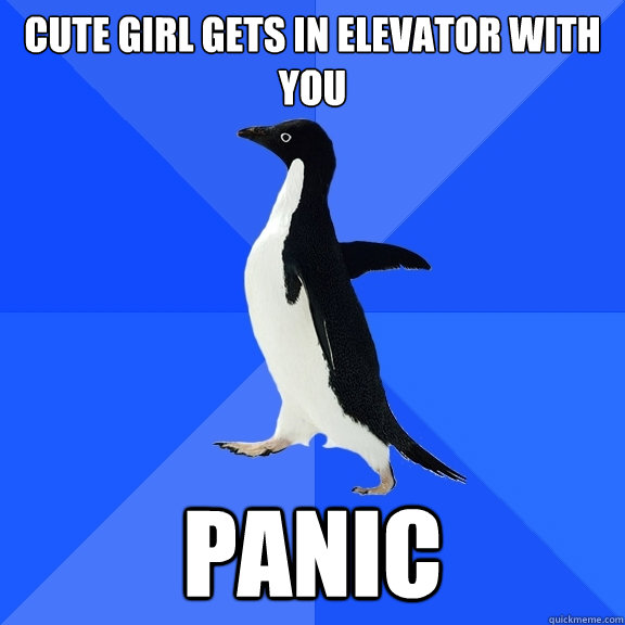 Cute girl gets in elevator with you PANIC  Socially Awkward Penguin
