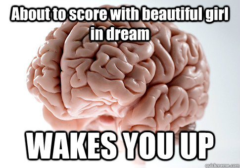 About to score with beautiful girl in dream WAKES YOU UP   Scumbag Brain