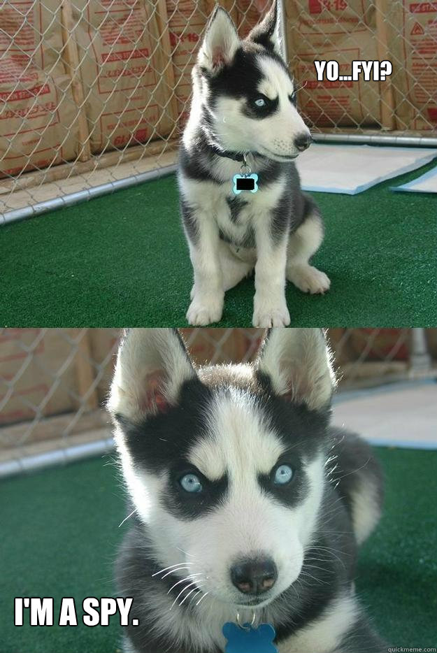 Yo...FYI? I'm a spy. - Yo...FYI? I'm a spy.  Insanity puppy