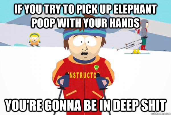 If you try to pick up elephant poop with your hands You're gonna be in deep shit  Super Cool Ski Instructor