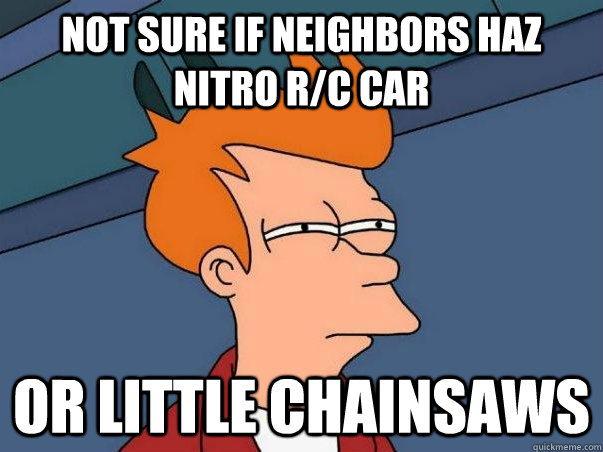 Not sure if neighbors haz nitro r/c car or little chainsaws  Not sure Fry
