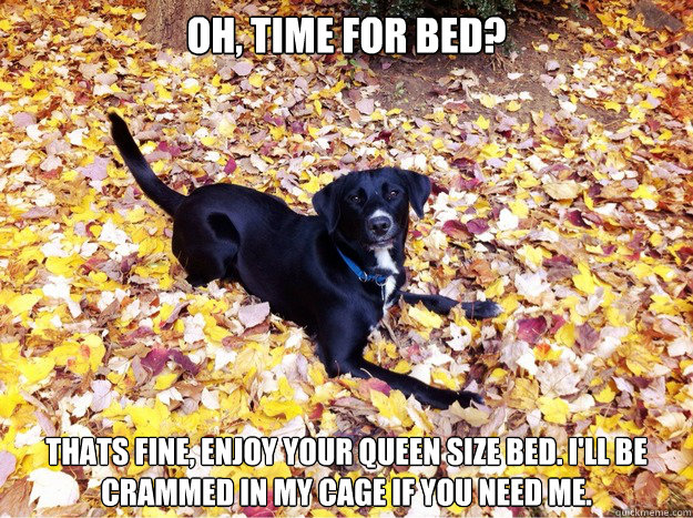 oh, time for bed? Thats fine, enjoy your queen size bed. I'll be crammed in my cage if you need me.  Guilt Giving Good Dog