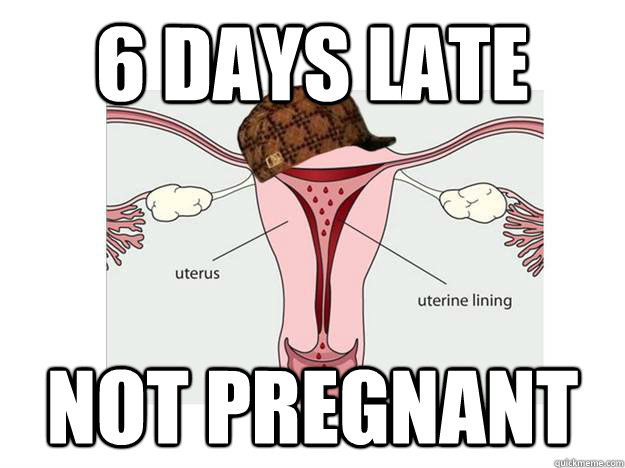 6 days late not pregnant - 6 days late not pregnant  Scumbag Period