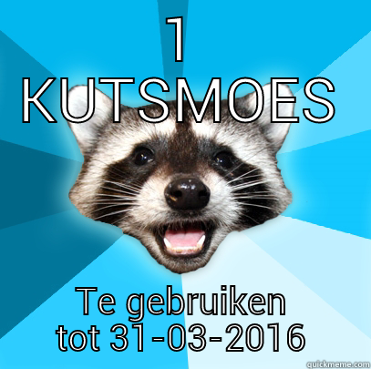 1 KUTSMOES TE GEBRUIKEN TOT 31-03-2016 Lame Pun Coon