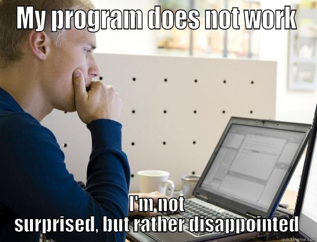 Rather disappointed - MY PROGRAM DOES NOT WORK I'M NOT SURPRISED, BUT RATHER DISAPPOINTED Programmer