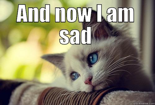 AND NOW I AM SAD  First World Problems Cat