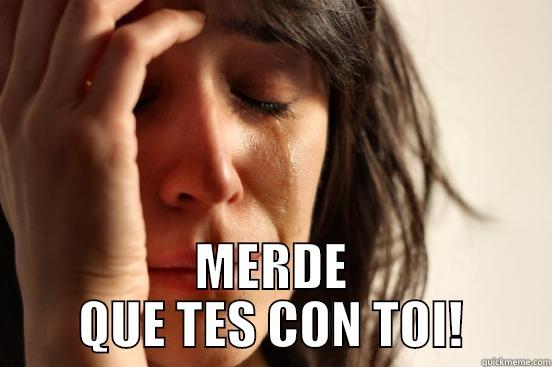  MERDE QUE TES CON TOI! First World Problems