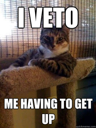 I veto  me having to get up  The Most Interesting Cat in the World
