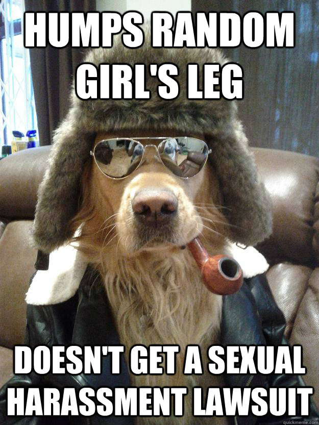 humps random girl's leg doesn't get a sexual harassment lawsuit   Overly Suave Dog
