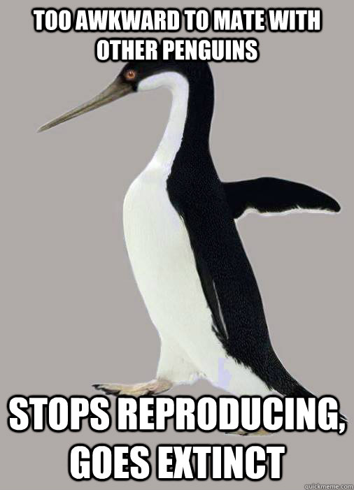TOO AWKWARD TO MATE WITH OTHER PENGUINS STOPS REPRODUCING, GOES EXTINCT  