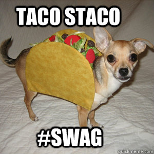 Taco Staco #Swag  Taco Dog