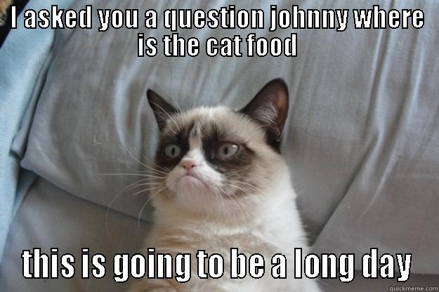 i asked you a question - I ASKED YOU A QUESTION JOHNNY WHERE IS THE CAT FOOD THIS IS GOING TO BE A LONG DAY Grumpy Cat